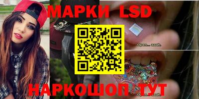 герыч Майкоп