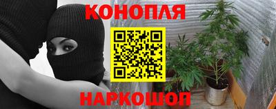 mdpv Магадан